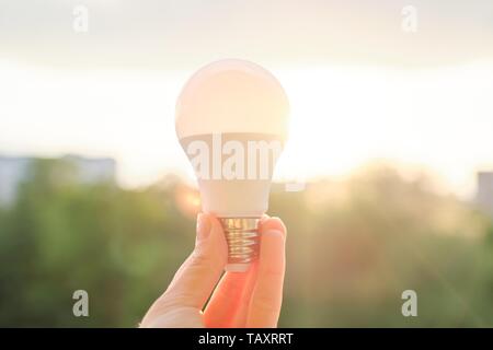 Led bulb, hand holding lamp, evening sunset sky background. Stock Photo