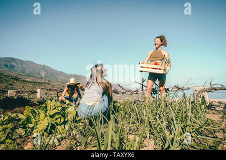 Happy young friends working together harvesting fresh fruits and vegetables in farm garden house Stock Photo