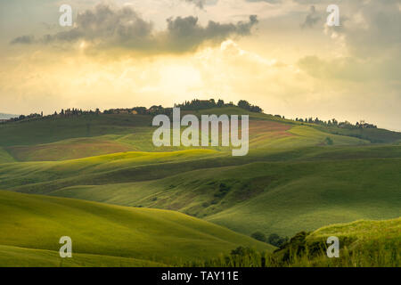 Rolling hills in Tuscany on a sunny day with dramatic clouds Stock Photo