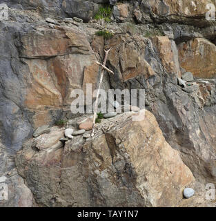 Makeshift crosses and ones carved into rock near Saint Ninian's Cave, a place of pilgrimage for Christians near Whithorn,Wigtownshire,Scotland photographed 2019) Stock Photo