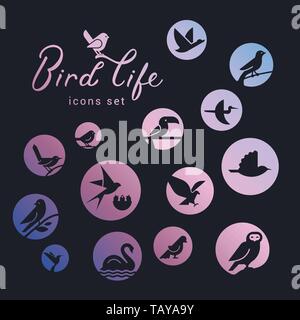Vector icon set of icons inscribed in a circle filled with a gradient on the theme of wild bird life. Bird wounds in linear style. Design concept. Stock Vector