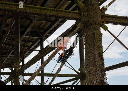 plastic fishing line tangle on the underside of the pier in Worthing, West Sussex Stock Photo