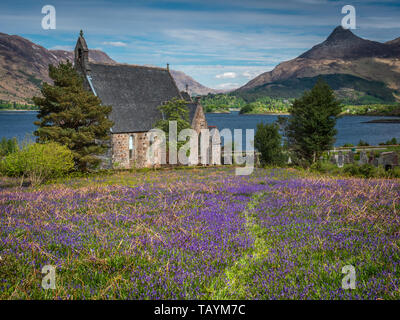 Bluebell fields at St John's Episcopal Church, Ballachulish in the Scottish Highlands Stock Photo