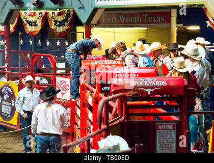 group of a cowboys over seeing the safety of the competitor about to ride wild bull. stockyards, fort worth Texas,USA. Stock Photo