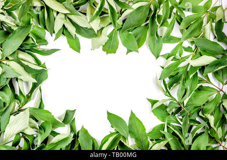 Summer composition. Frame made of green leaves branches, on white paper background. Holiday concept, greeting card. Flat lay, top view, copy space Stock Photo