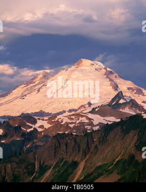 USA, Washington, Mt. Baker Snoqualmie National Forest, Morning light on glacier-clad northeast side of Mt. Baker in Mt. Baker Wilderness. Stock Photo