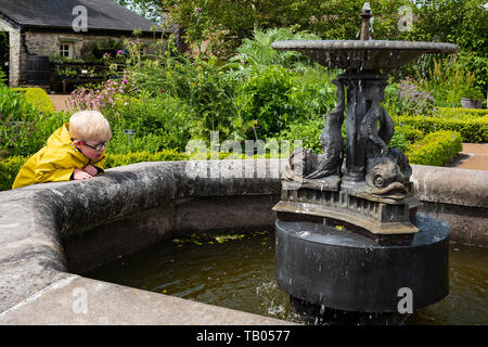 Blonde boy looking into Pond and Water Fountain Stock Photo