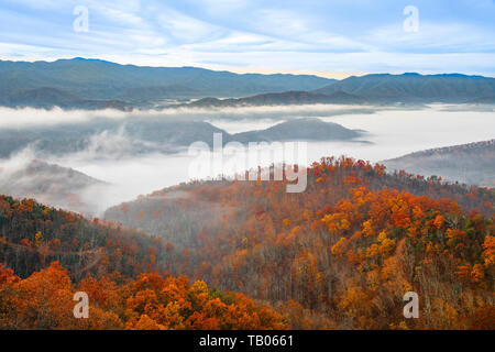 Autumn colors, Foothills parkway, Great Smoky Mountains National Park, TN, USA, by Bill Lea/Dembinsky Photo Assoc Stock Photo