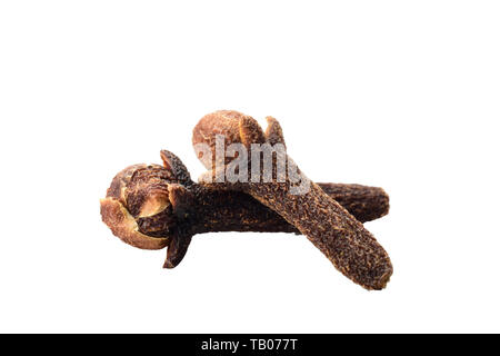 clove isolated on white background Stock Photo