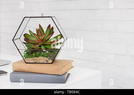 Florarium and books on table at white background Stock Photo