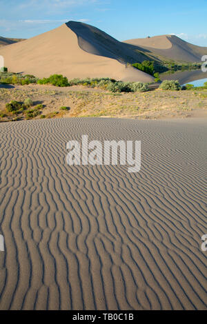 Dune, Bruneau Dunes State Park, Snake River Birds of Prey National Conservation Area, Idaho Stock Photo