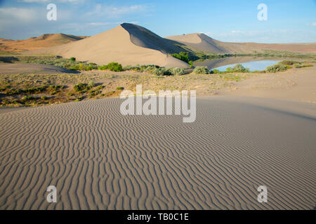 Dune, Bruneau Dunes State Park, Snake River Birds of Prey National Conservation Area, Idaho Stock Photo