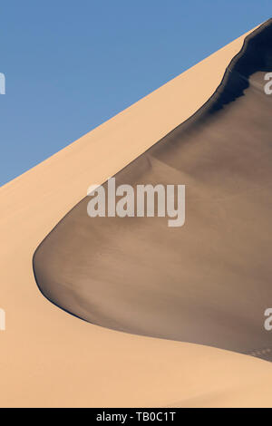 Dune crest, Bruneau Dunes State Park, Snake River Birds of Prey National Conservation Area, Idaho Stock Photo