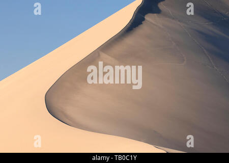 Dune crest, Bruneau Dunes State Park, Snake River Birds of Prey National Conservation Area, Idaho Stock Photo