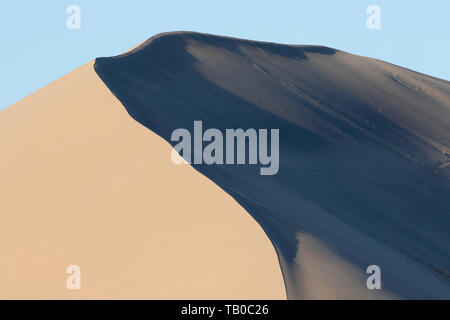 Dune crest, Bruneau Dunes State Park, Snake River Birds of Prey National Conservation Area, Idaho Stock Photo