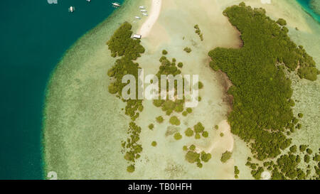 Luli island and sandy beach with tourists, sand bar surrounded by coral reef and blue sea in the honda bay, aerial drone. Tropical island and coral reef. Summer and travel vacation concept, Philippines, Palawan