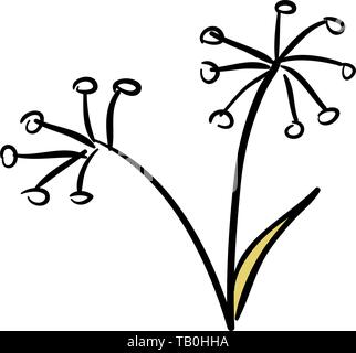 Wild fennel bunch isolated on white background Stock Vector