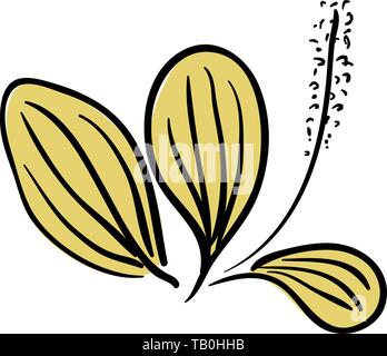 Blooming Ribwort Plantain Plantago lanceolata, narrowleaf plantain, ribleaf herb isolated on a white background. Ribwort Stock Vector
