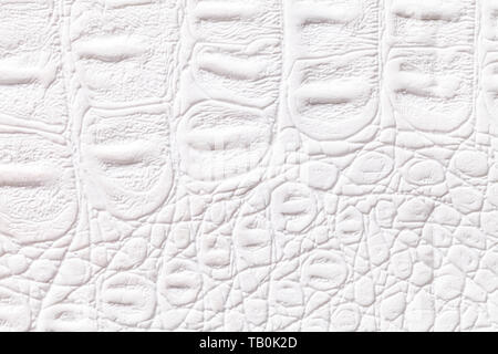 White leather texture background, closeup. Reptile skin, macro. Nature structure of textile. Luxury decorative backdrop. Stock Photo