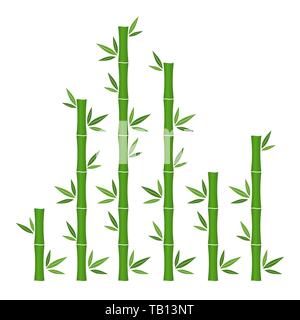 Green bamboo branches and leaves. Vector illustration. Bamboo stems. Bamboo icon. Stock Vector