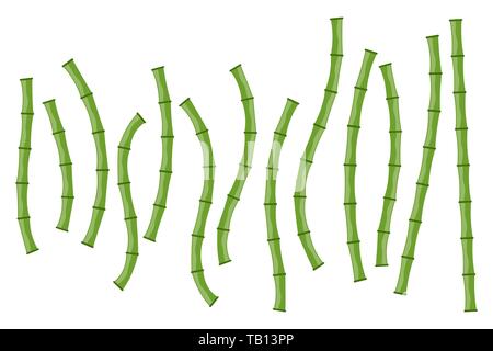 Set of green bamboo branches isolated. Vector illustration. Bamboo stems. Bamboo icon. Stock Vector