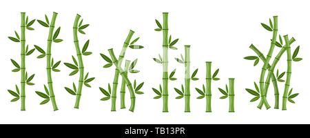 Big set of green bamboo branches and leaves. Vector illustration. Bamboo stems. Bamboo icon. Stock Vector