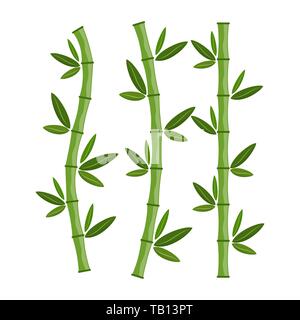 Green bamboo branches and leaves. Vector illustration. Bamboo stems. Bamboo icon. Stock Vector