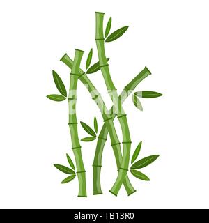 Green bamboo branches and leaves. Vector illustration. Bamboo stems. Bamboo icon. Stock Vector
