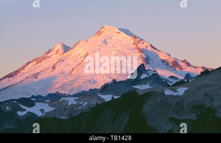 USA, Washington, Mt. Baker Snoqualmie National Forest, Sunrise light on glacier-clad northeast side of Mt. Baker in Mt. Baker Wilderness. Stock Photo