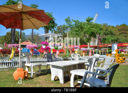 Beautiful garden with flower bouquet colorful blossom on bright day and set of dinner table and chair on park outdoor Stock Photo