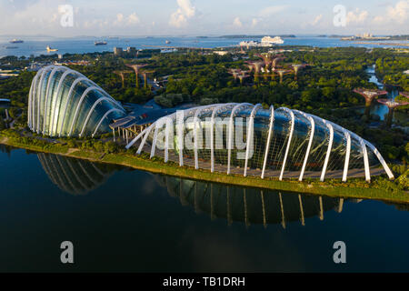 Gardens by the Bay Domes from aerial perspective in the morning, calm water reflection of the facade, full view of the whole garden. Singapore Stock Photo