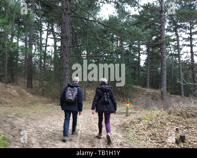 Elderly couple  with backpacks walking up a sandy path in a forest Stock Photo