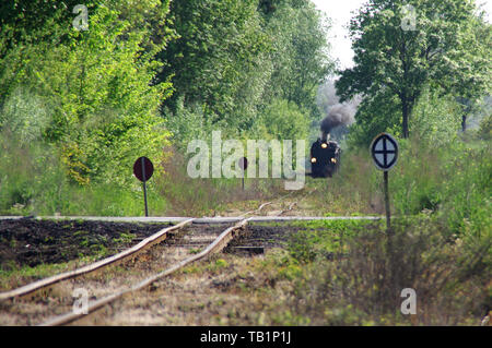 Old passenger train running on tracks through the forest. A retro locomotive with a steam engine drives along old curved tracks. Stock Photo