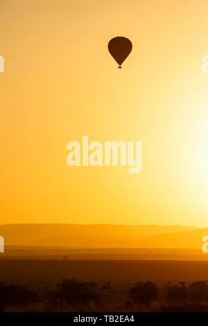 Hot air balloon at sunrise over the African savanna Stock Photo