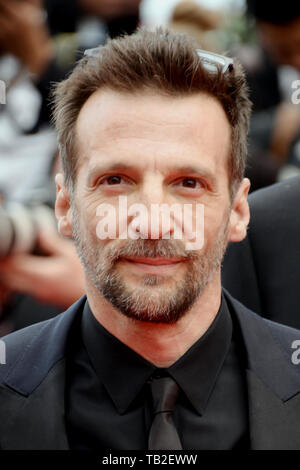 Category:Mathieu Kassovitz - Wikimedia Commons