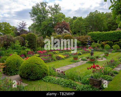 Chenies Manor sunken garden with topiary, path, lawn and ornamental pond; a terraced garden full of colour at tulip time.Garden design in spring. Stock Photo