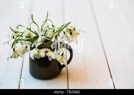 High angle close up of bunch of snowdrops in small jug on white wooden table. Stock Photo