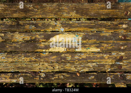 Krakow. Cracow. Poland. Peeling paint on abandonned park bench. Stock Photo