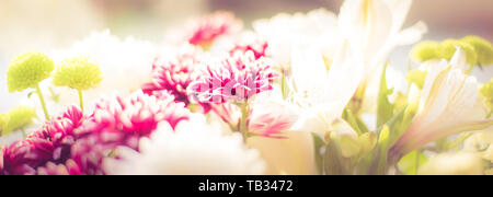 Burgundy flower bouquet isolated on bokeh, blurred background Stock Photo