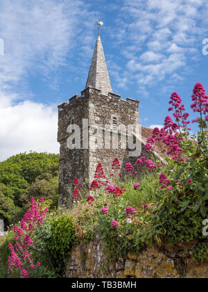 a low view of red and pink valerian growing wild over a old medieval church Seely Memorial chapel cemetery stone wall Mottistone Stock Photo