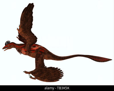 Microraptor Side Profile - Microraptor was a carnivorous flying reptile that lived in China and Mongolia during the Cretaceous Period. Stock Photo