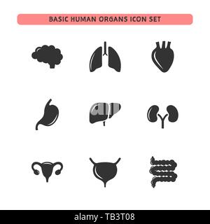 Basic human organs icon set. Isolated vector illustration Stock Vector