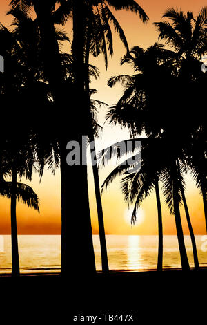 Illustration of palm trees on a tropical island silhouetted against an orange sky and the setting sun Stock Photo