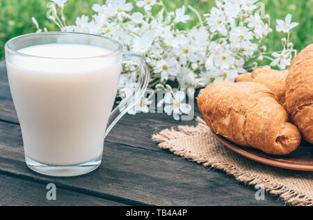 A glass cup of milk stands beside croissants and white small flowers. Stock Photo