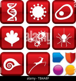 Vector illustration. Set of life icons on square buttons. Geometric style. Stock Vector
