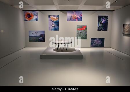 LIVING COLOUR LEE KRASNER BARBICAN ARTS CENTRE 30 MAY - 1 SEPTEMBER 2019 Stock Photo