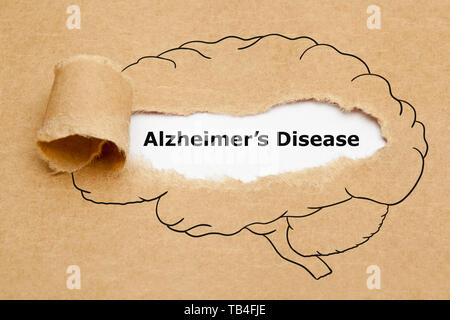 Text Alzheimers Disease appearing behind ripped brown paper in human brain drawing. Stock Photo