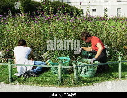 Man and Women working in pretty flower garden Stock Photo