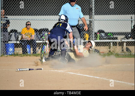 Catcher making a tag a base runner that was attempting to score. USA. Stock Photo