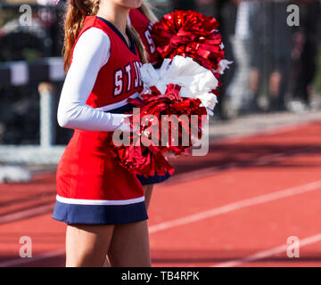 151 Cheerleader Pom Poms Isolated Stock Photos - Free & Royalty